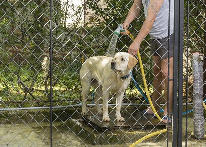 In With Terrace, Air Conditioning, Wifi, Washing Machine Porec