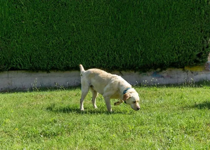 In With Terrace, Air Conditioning, Wifi, Washing Machine *