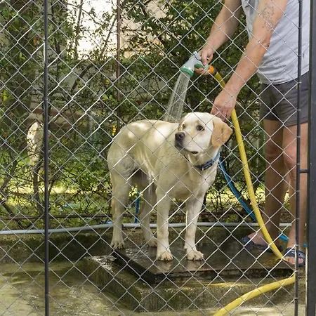 In With Terrace, Air Conditioning, Wifi, Washing Machine Poreč