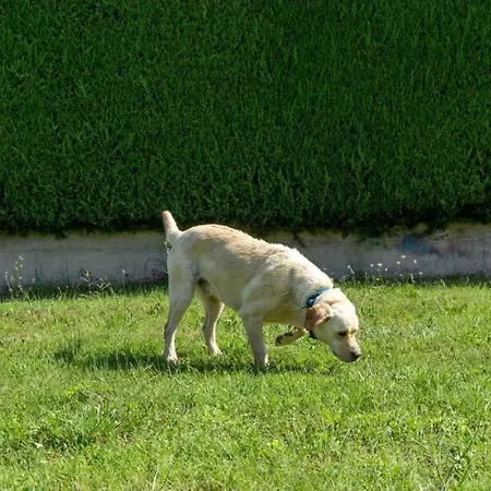 In With Terrace, Air Conditioning, Wifi, Washing Machine *